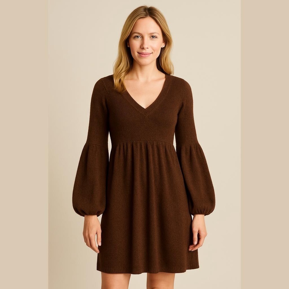 Newport News Brown Metallic Dress Size Small Balloon Sleeves Fit and Flare NWOT